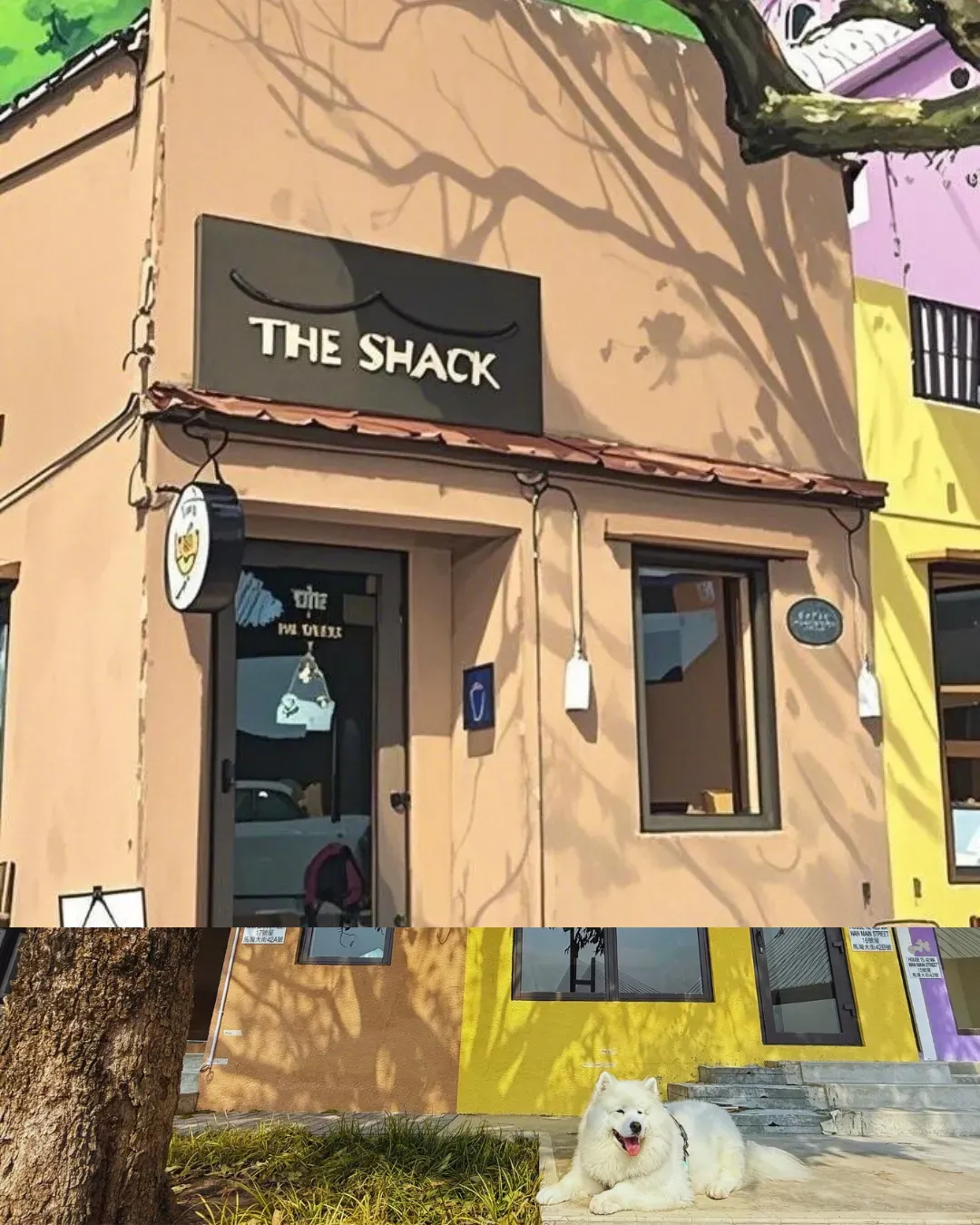 THE SHACK