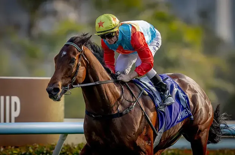 圖片來源：官方網站、U Lifestyle