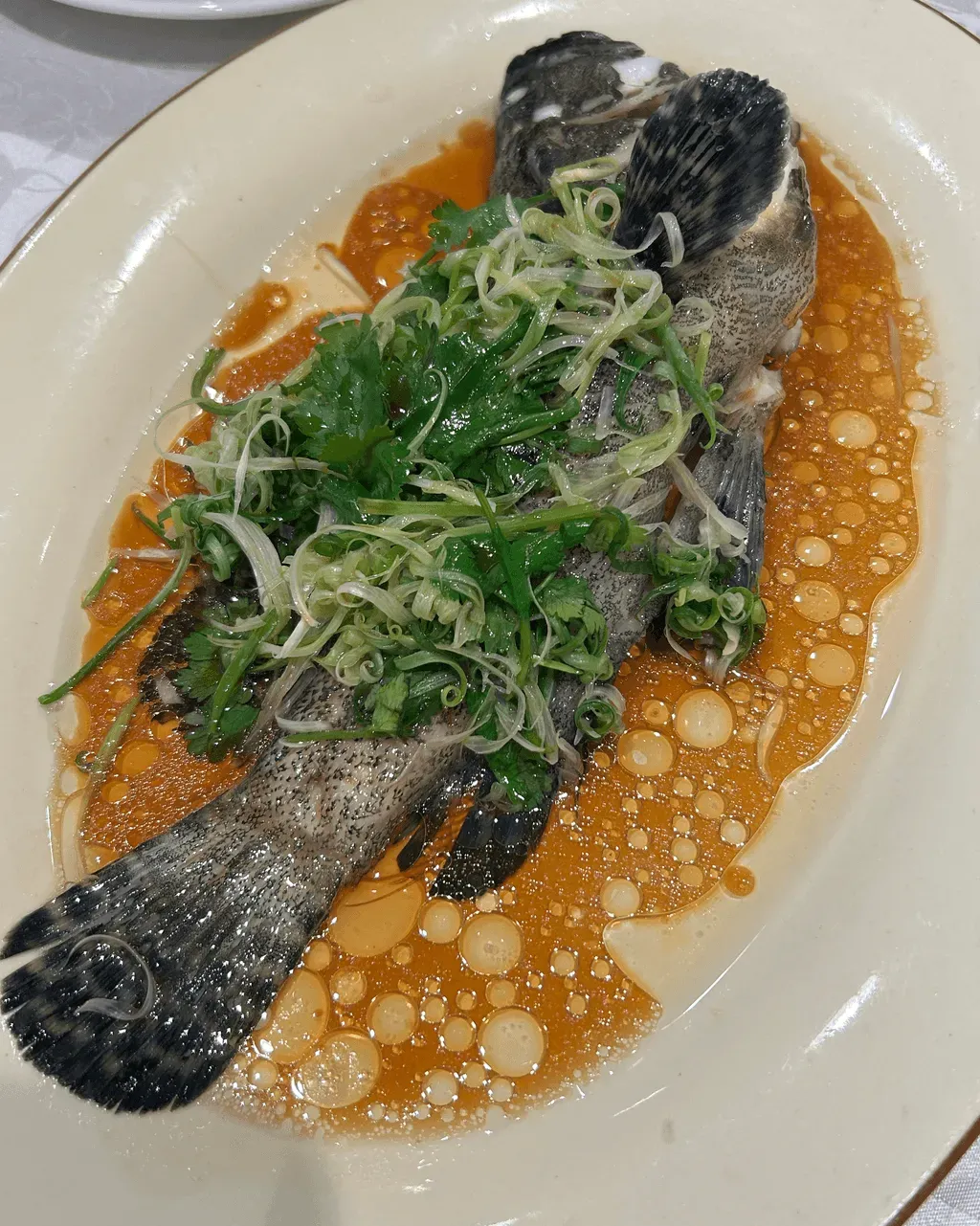 圖片來源：U Community