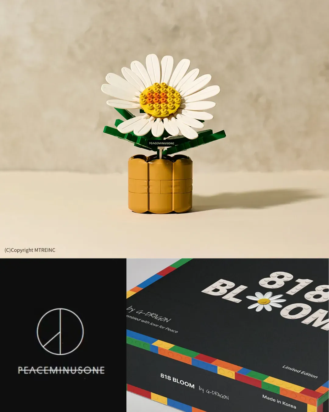 G-DRAGON小雛菊積木香港獨家限定店