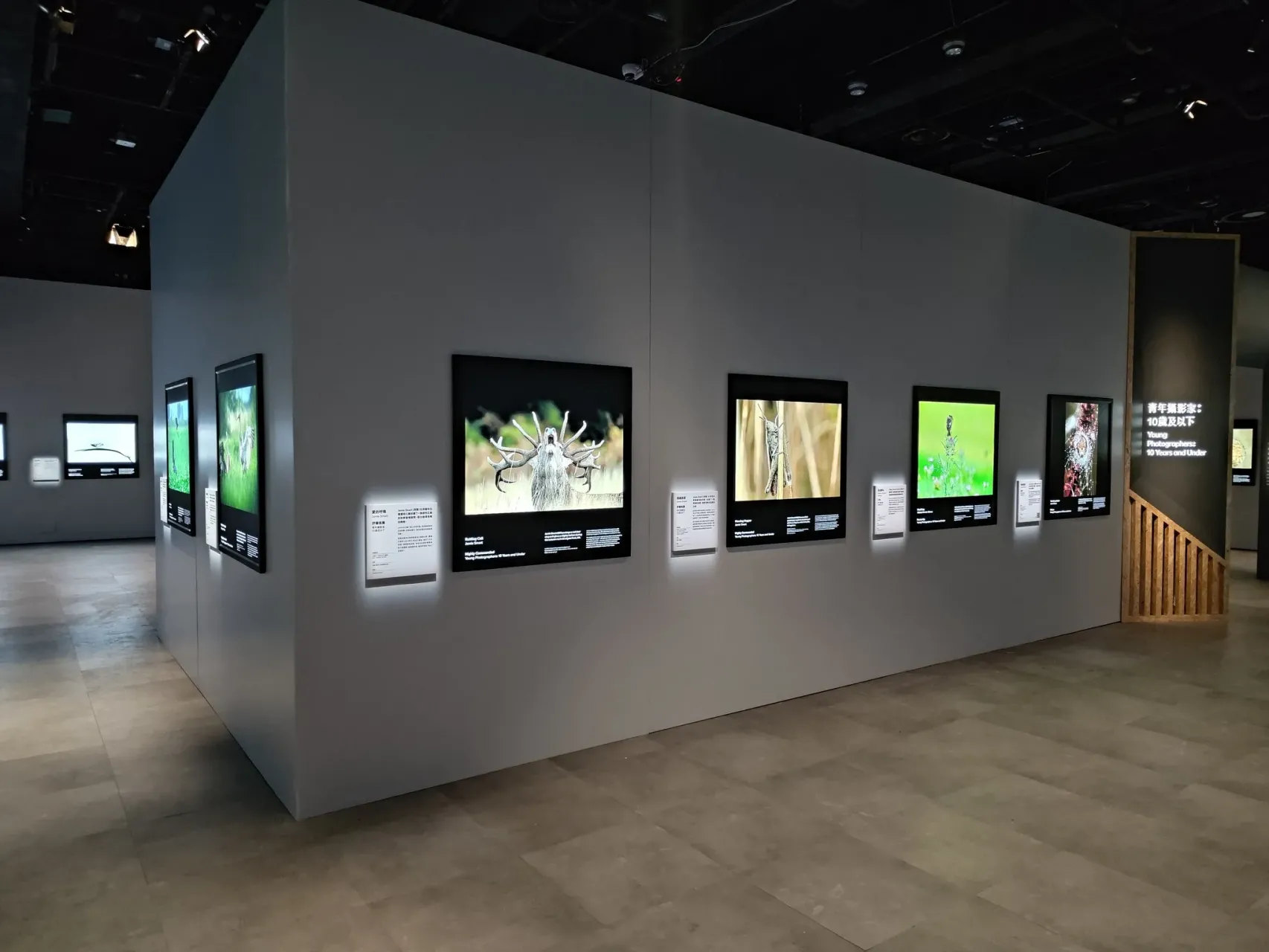 圖片來源：官方網站、U Lifestyle