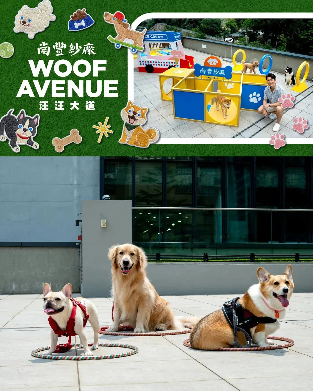 南豐紗廠「汪汪大道Woof Avenue」