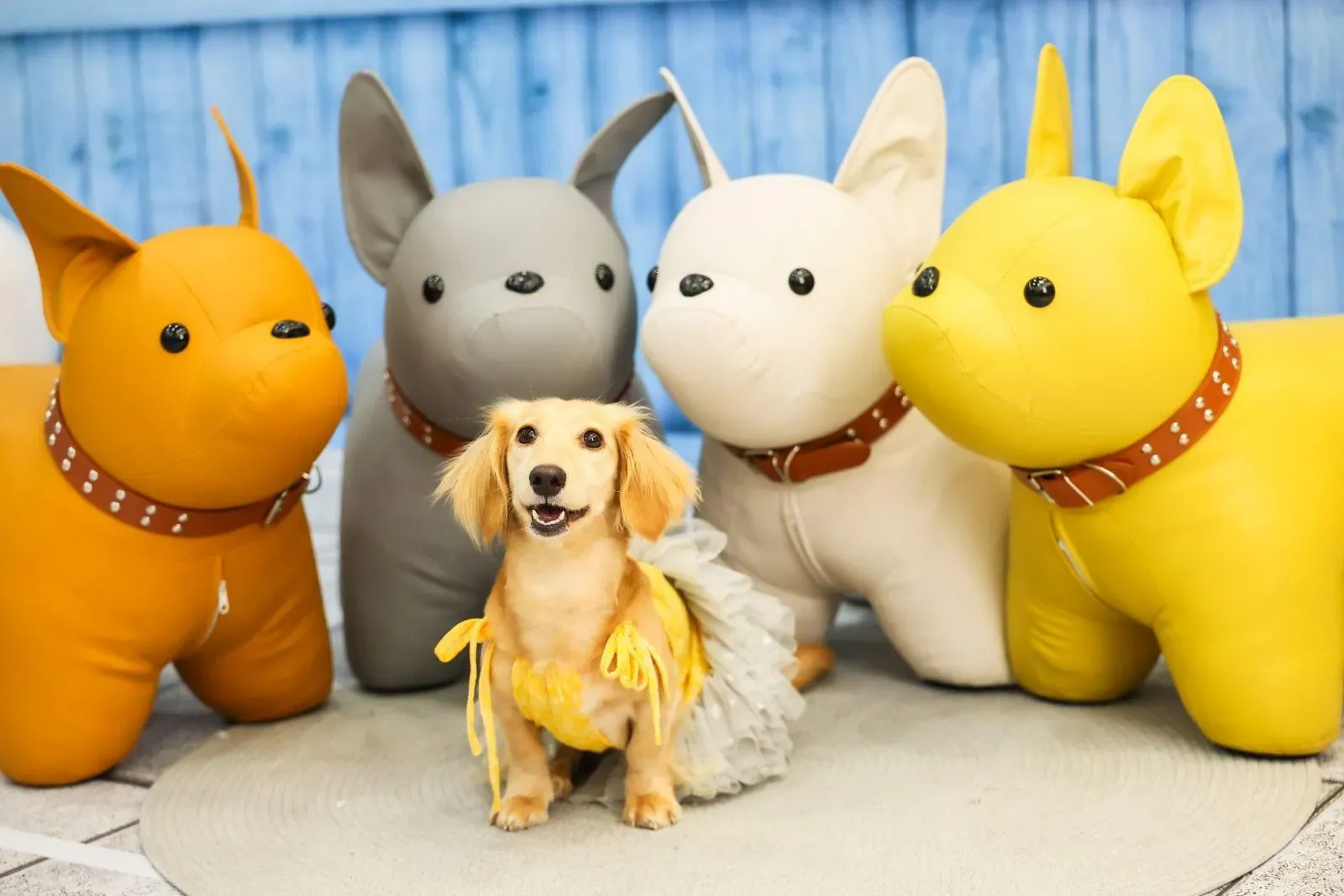 圖片來源：官方網站、U Lifestyle