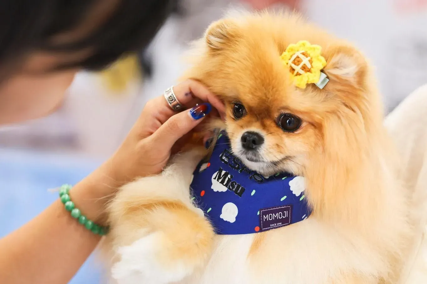 圖片來源：官方網站、U Lifestyle