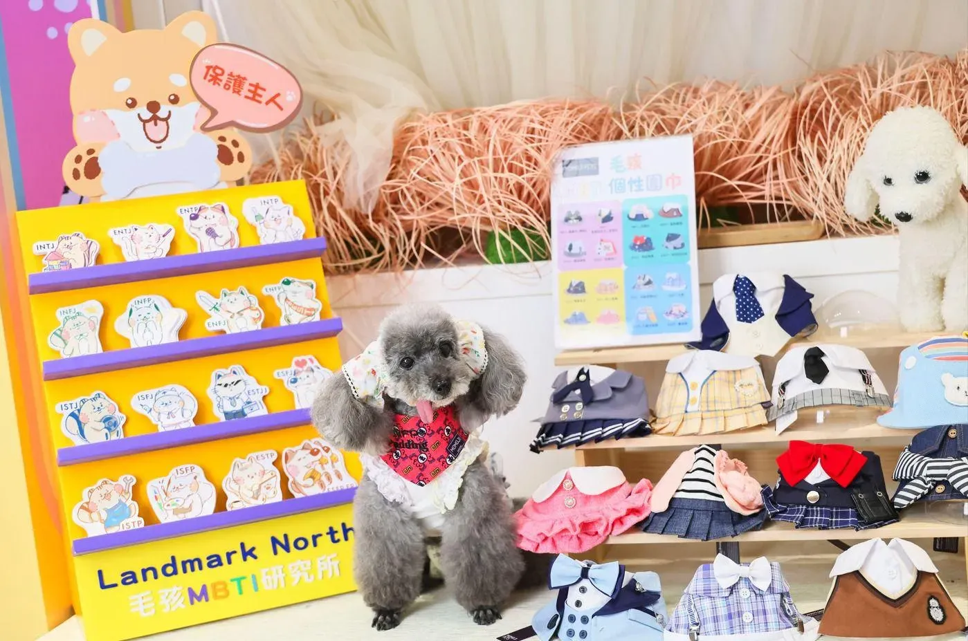 圖片來源：官方網站、U Lifestyle