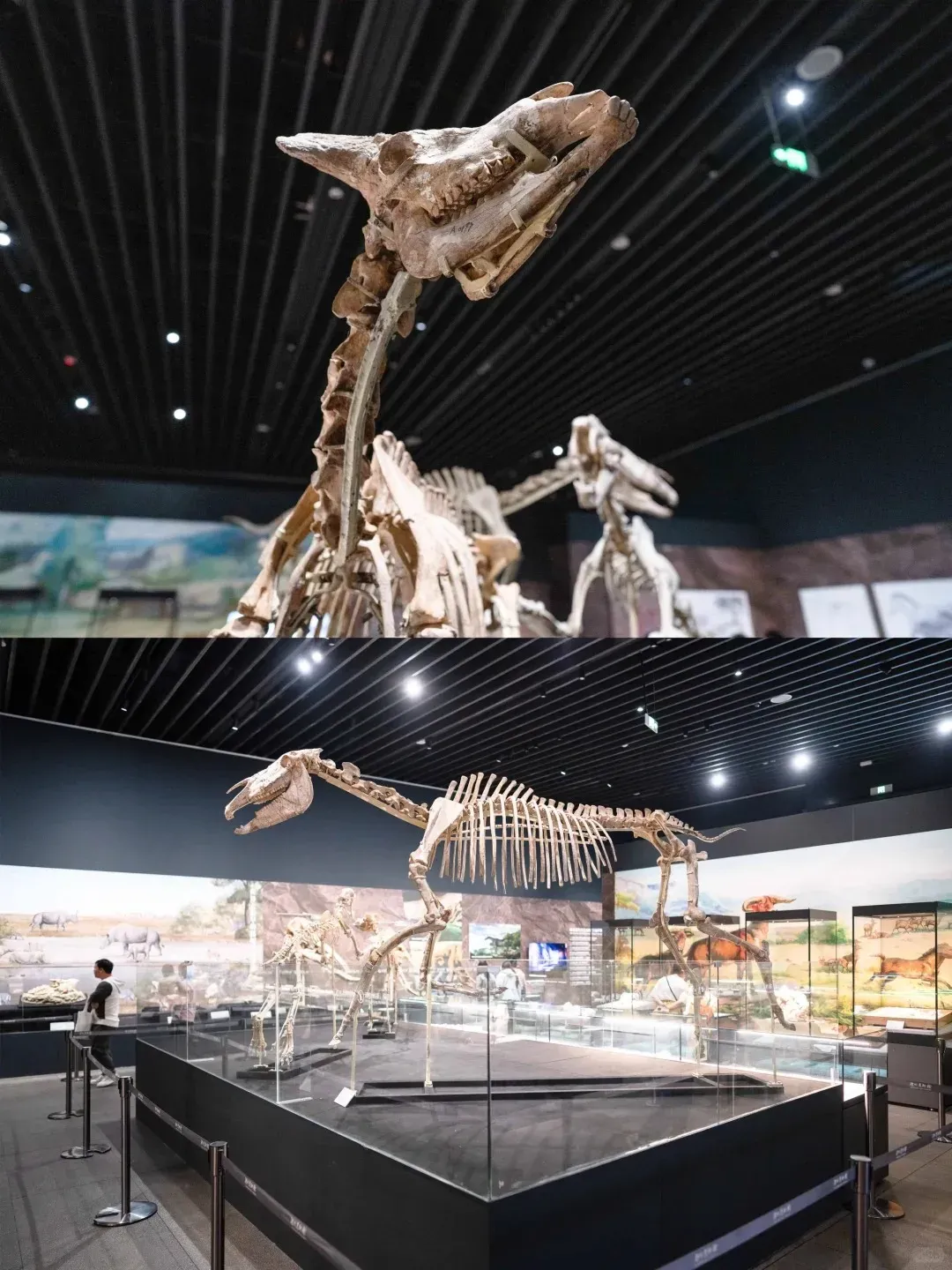 圖片來源：官方網站、U Lifestyle