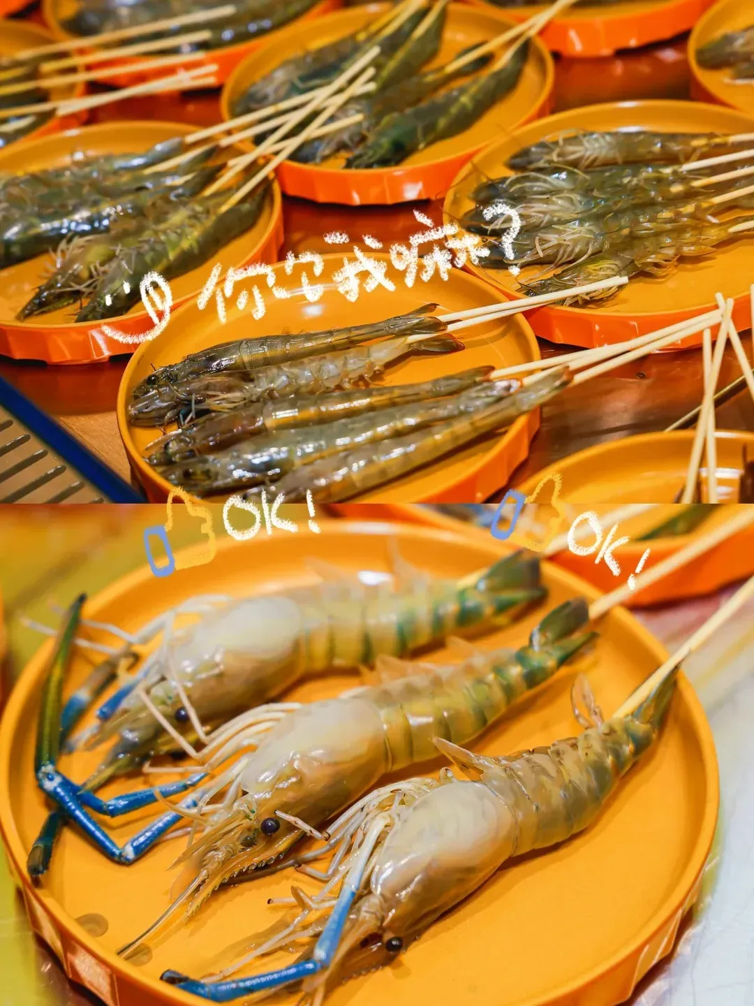 圖片來源：官方網站、U Lifestyle