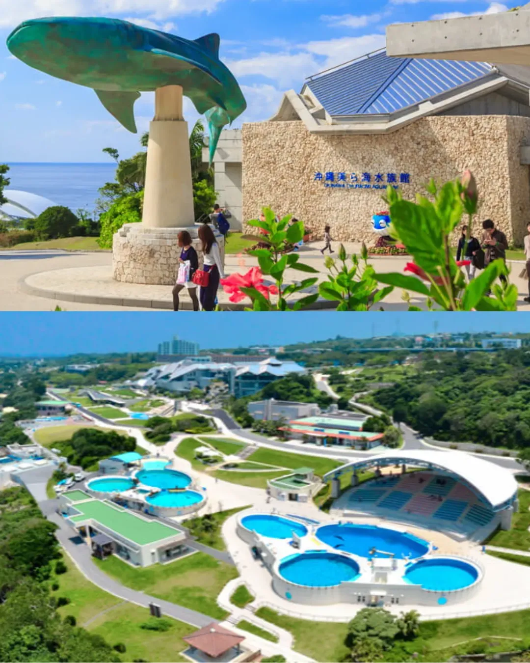 沖繩美麗海水族館