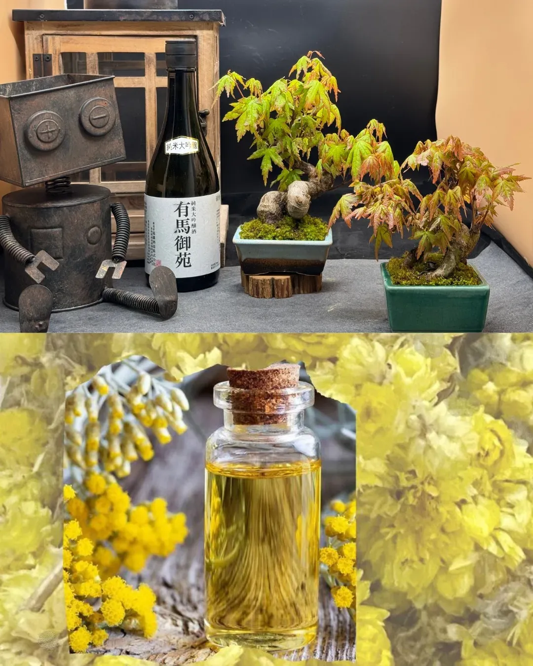 圖片來源：官方網站、U Lifestyle