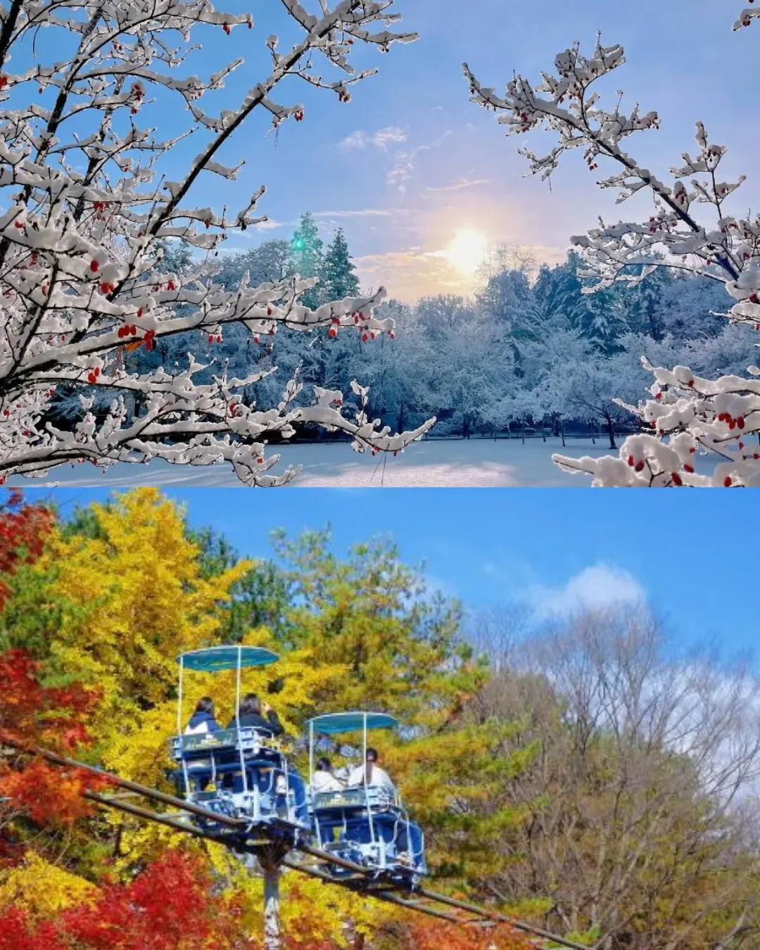 南怡島