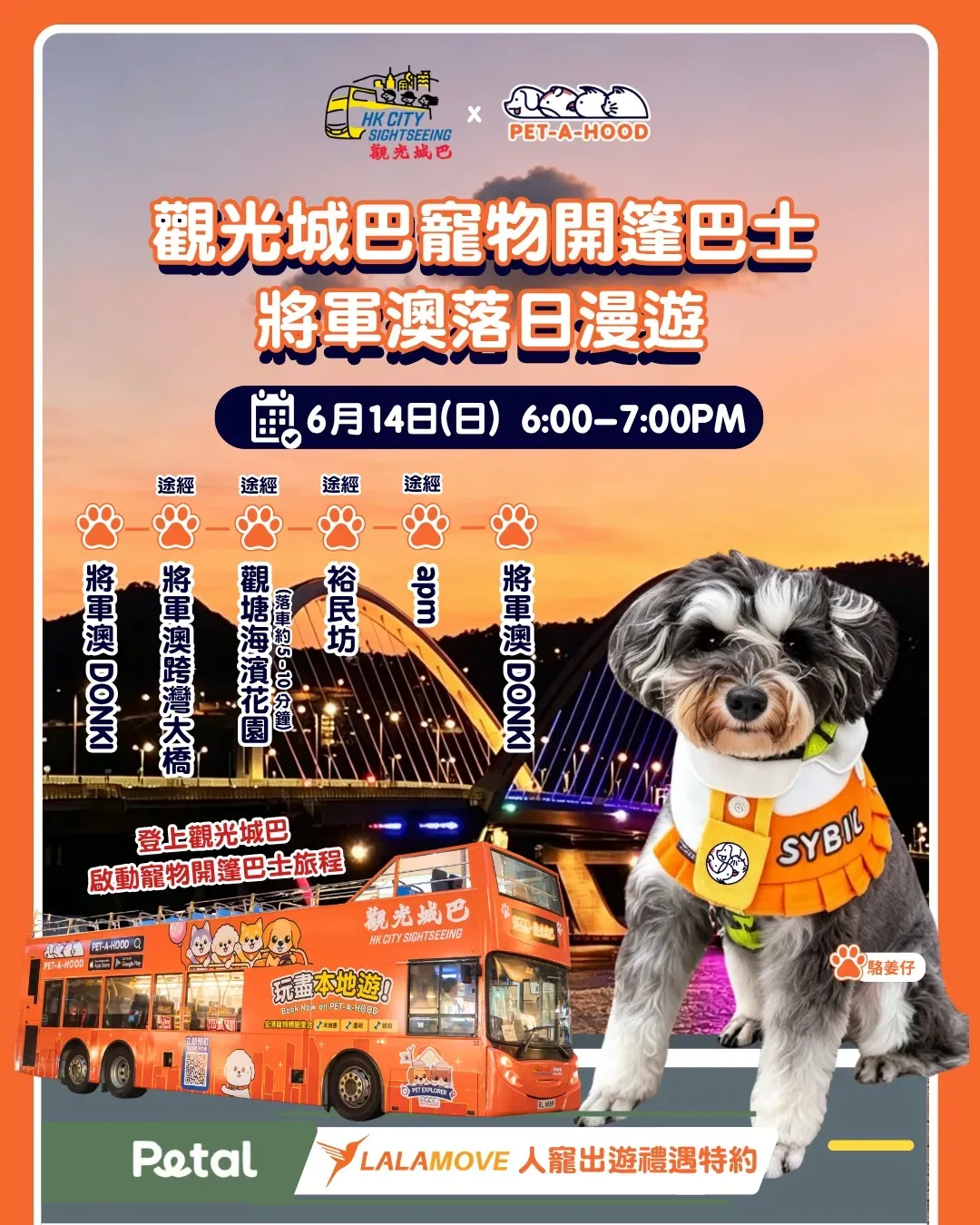 圖片來源：IG@petahoodhk