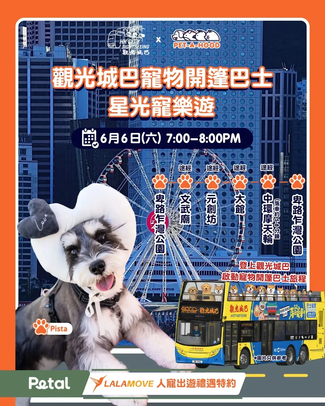 圖片來源：IG@petahoodhk