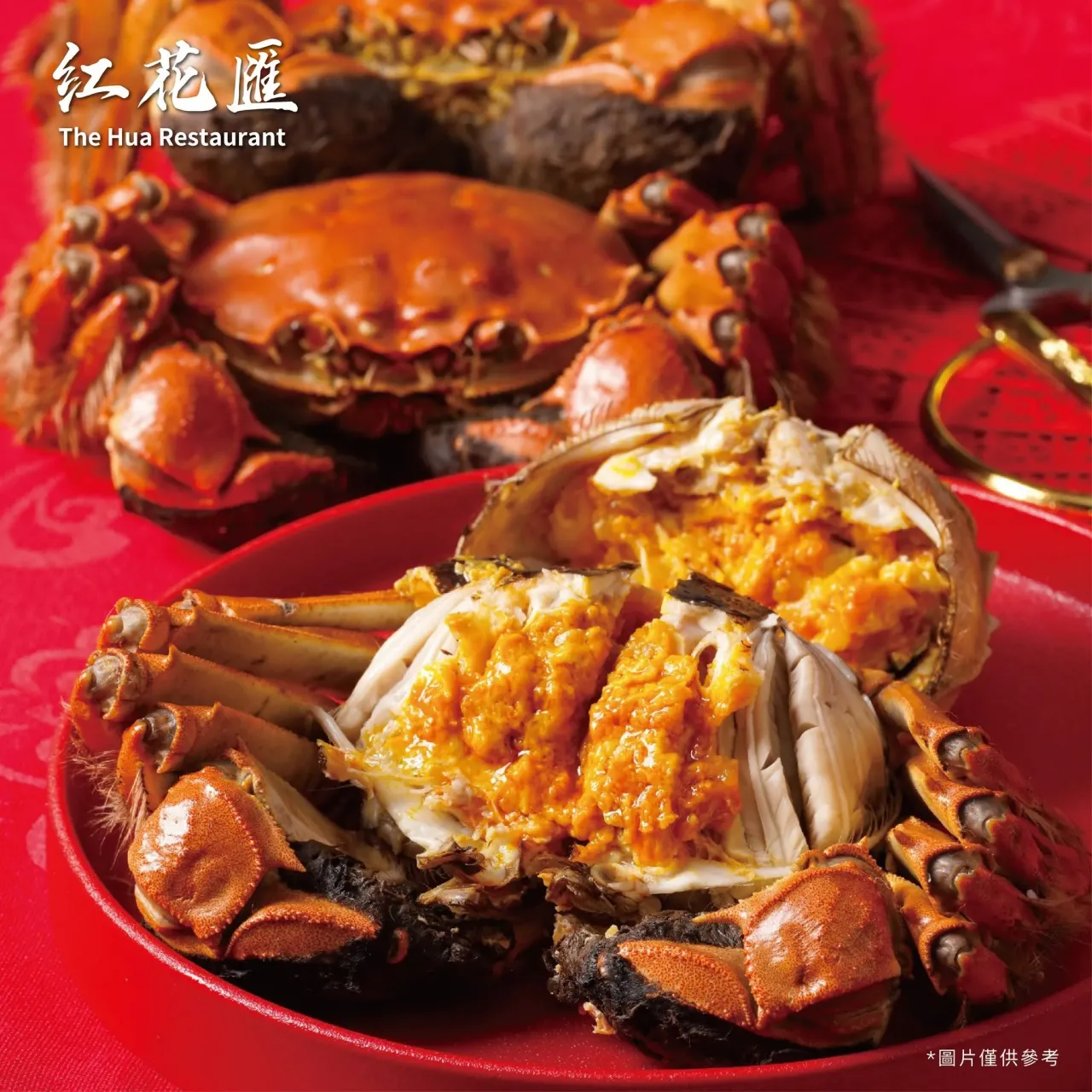 圖片來源：官方網站、U Lifestyle