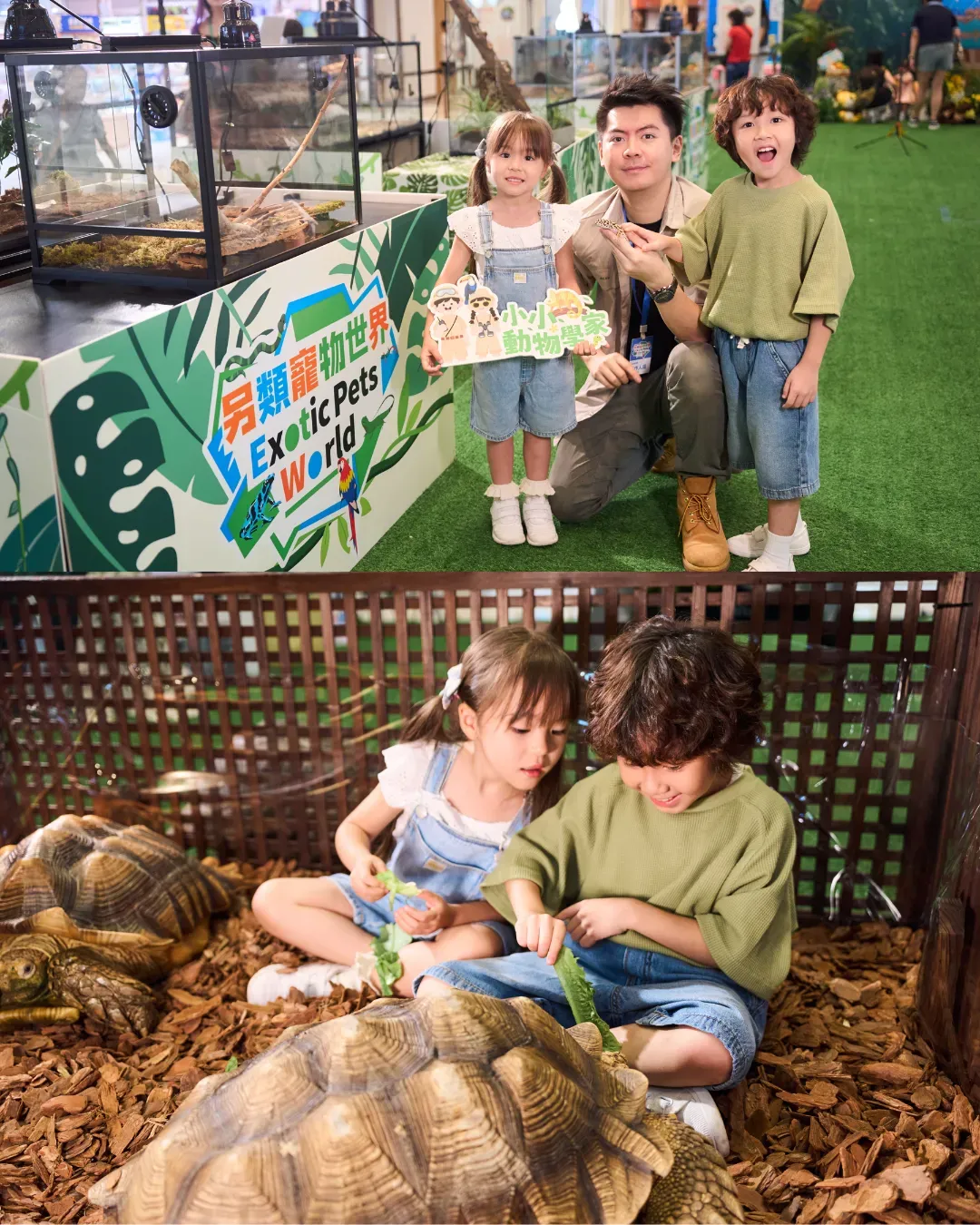 合和商場「另類寵物世界Exotic Pets World」2026