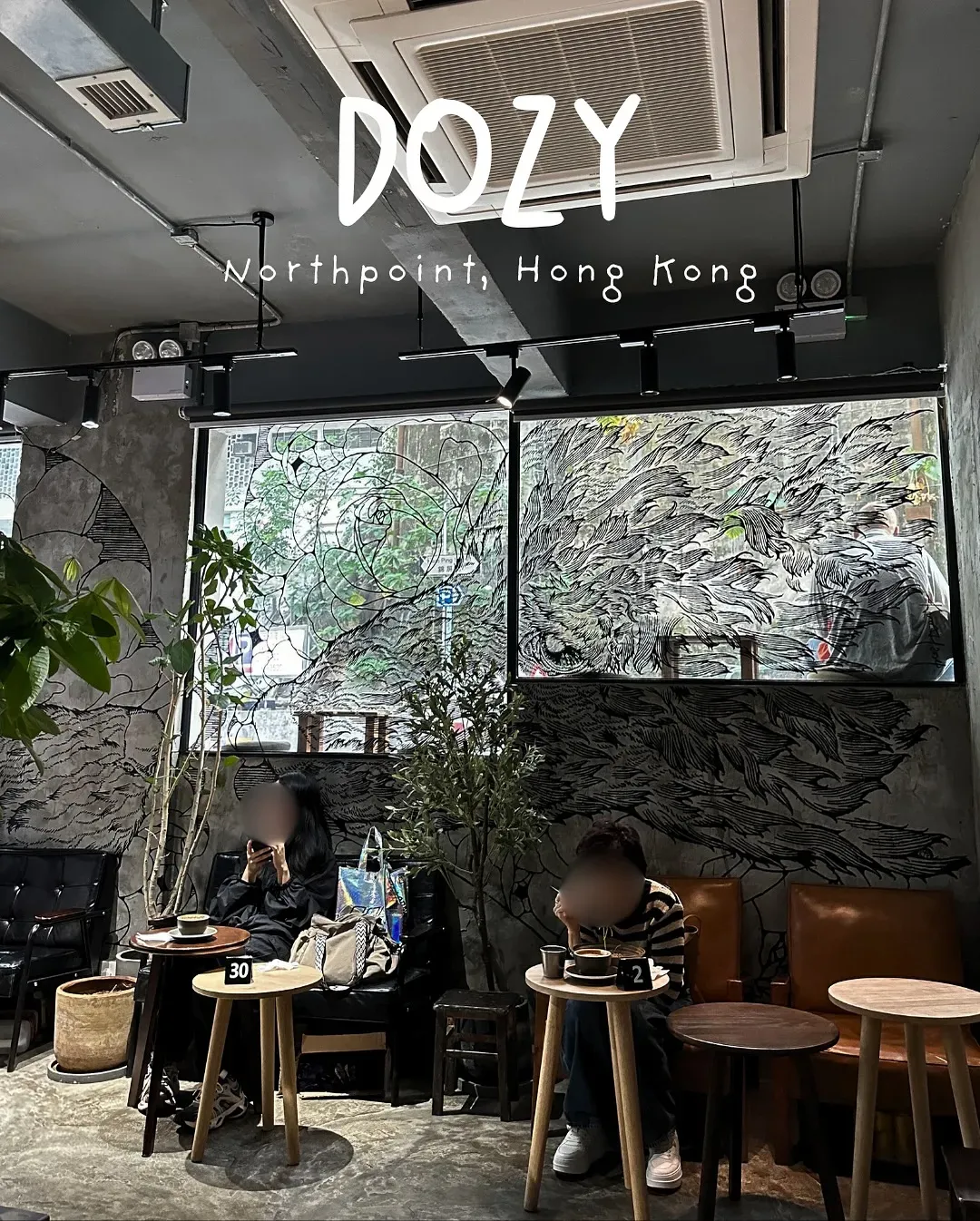 Dozy (北角分店)