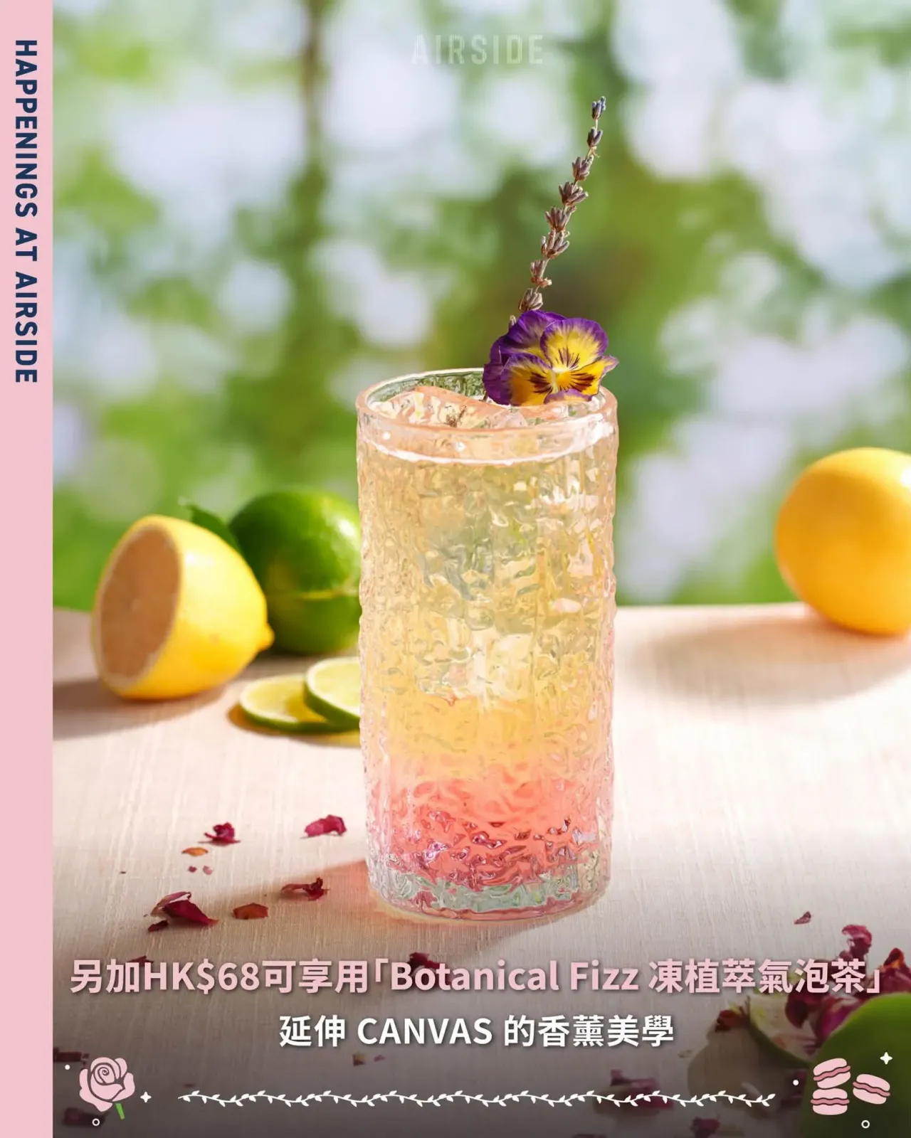 圖片來源：官方網站、U Lifestyle