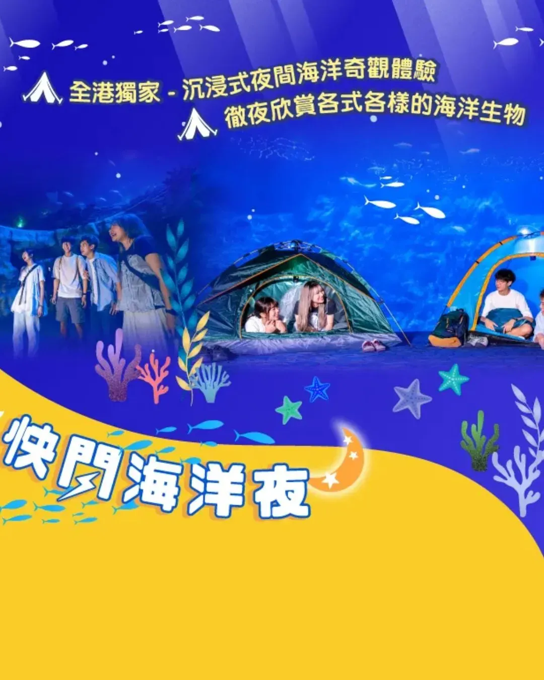 海洋公園「快閃海洋夜」