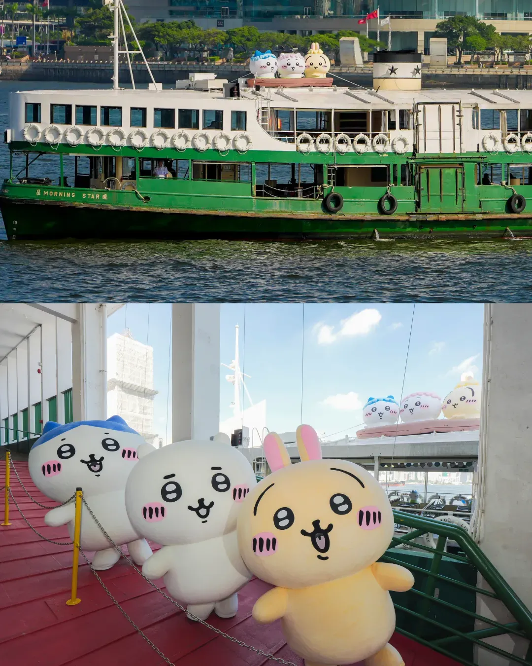 CHIIKAWA x 天星小輪 呈獻《劇場版CHIIKAWA人魚島的秘密》航行活動