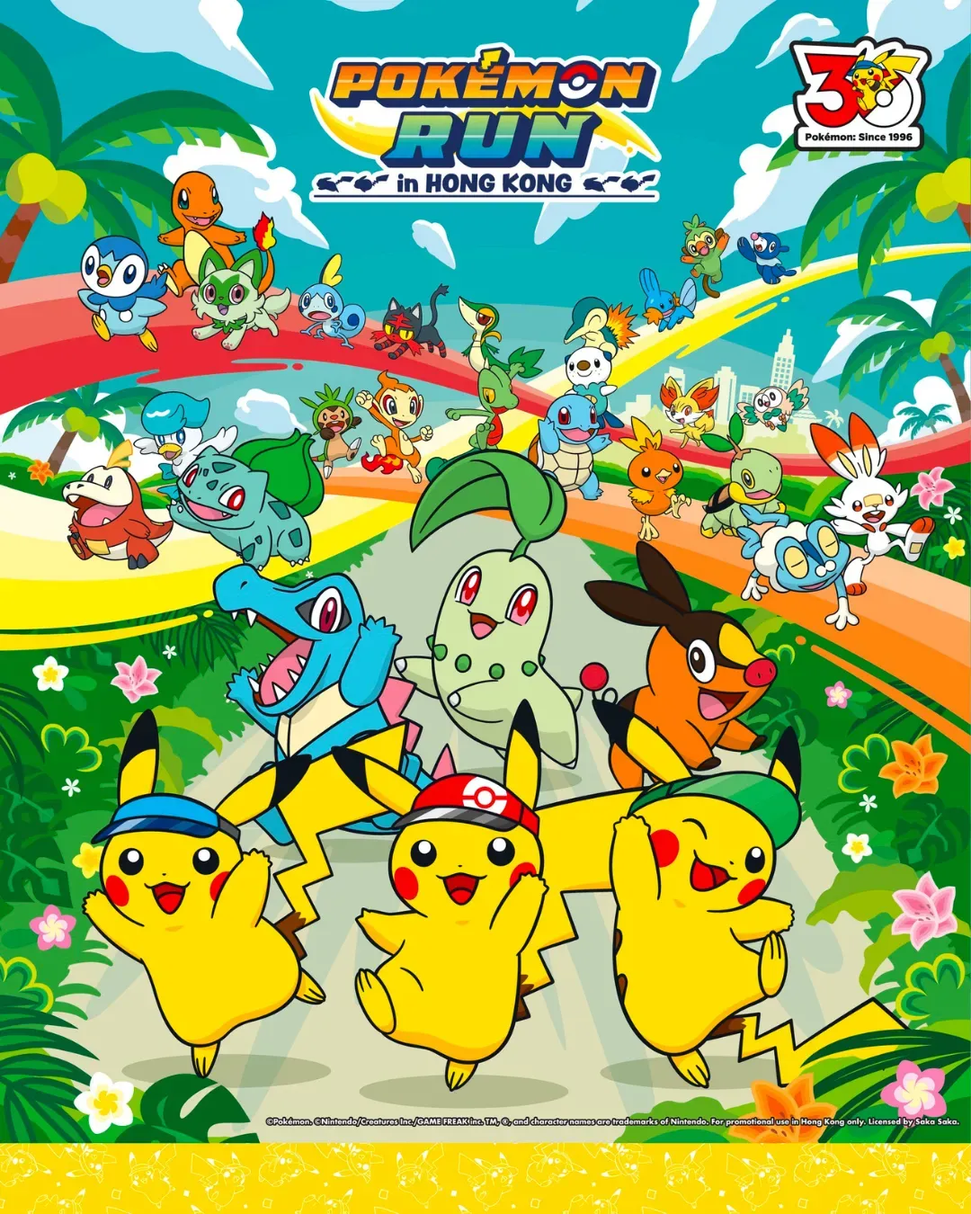 Pokémon RUN 30
