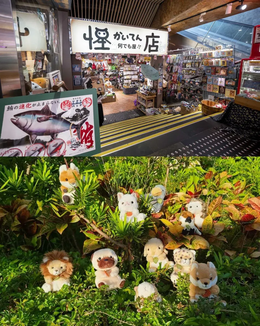 怪店 Kaiten
