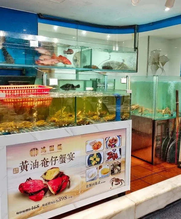 圖片來源：U Community