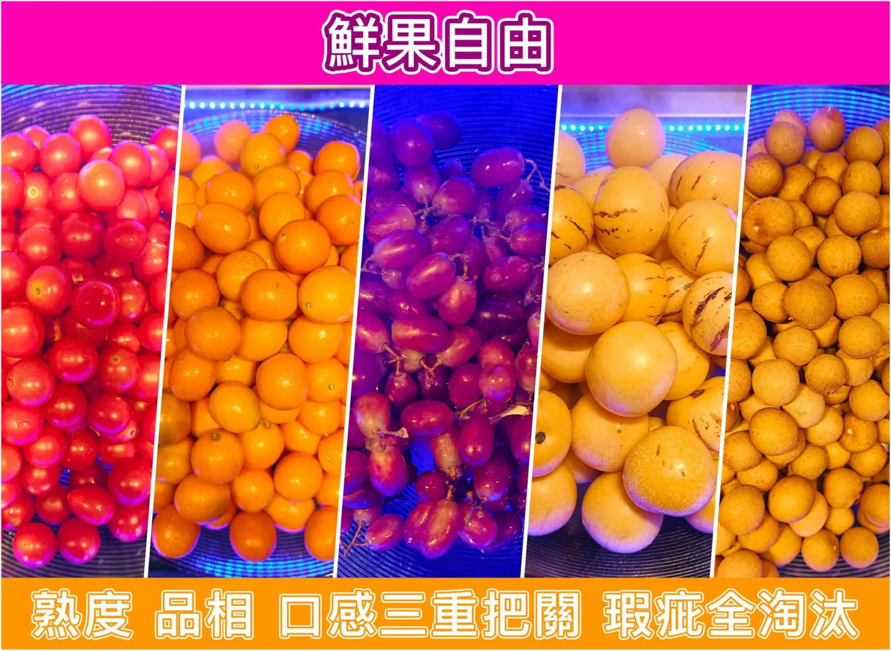 圖片來源：官方網站、U Lifestyle