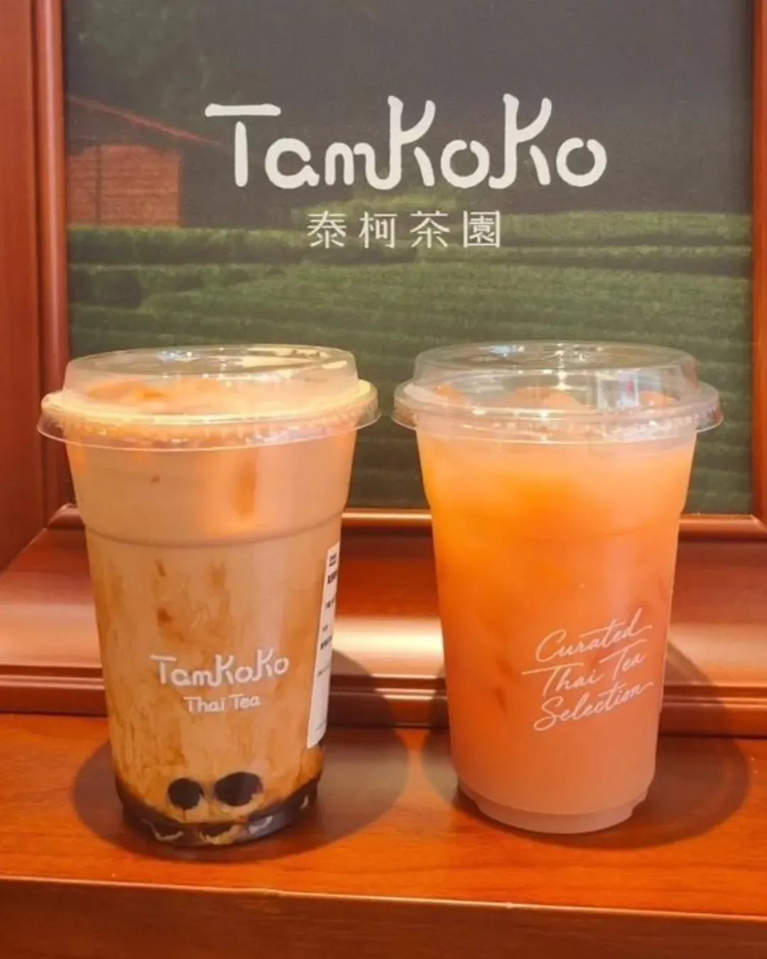 泰柯茶園