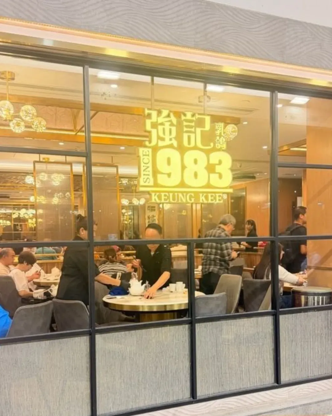 強記乳鴿1983
