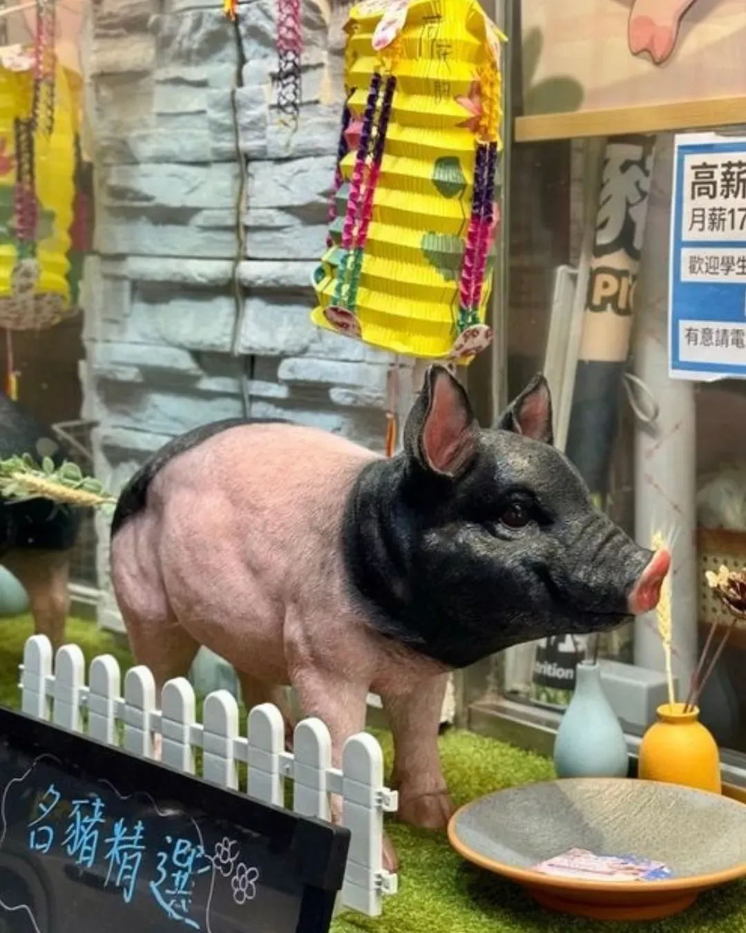 掌上名豬 (上環)