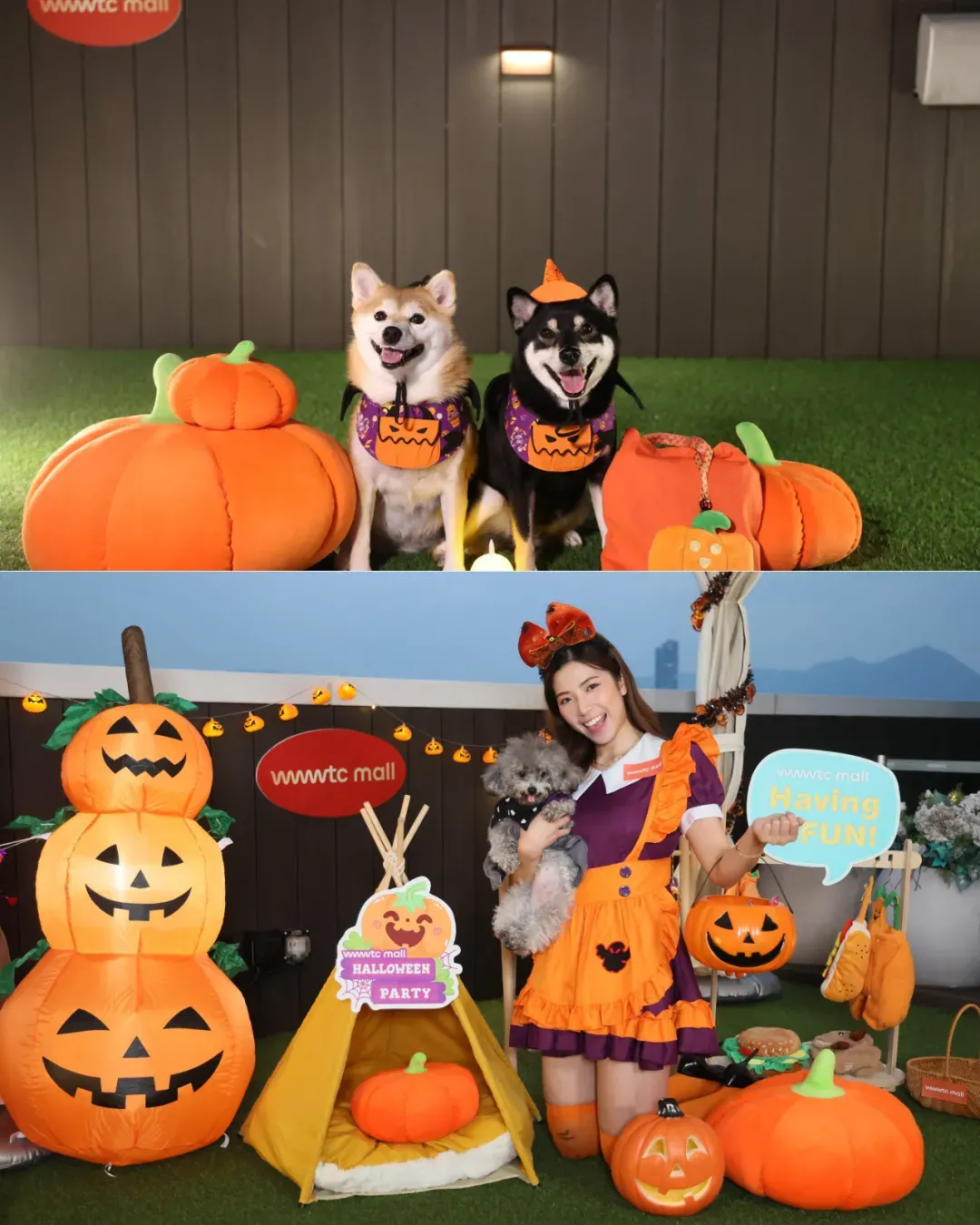 萬聖萌寵派對 Halloween Pawty