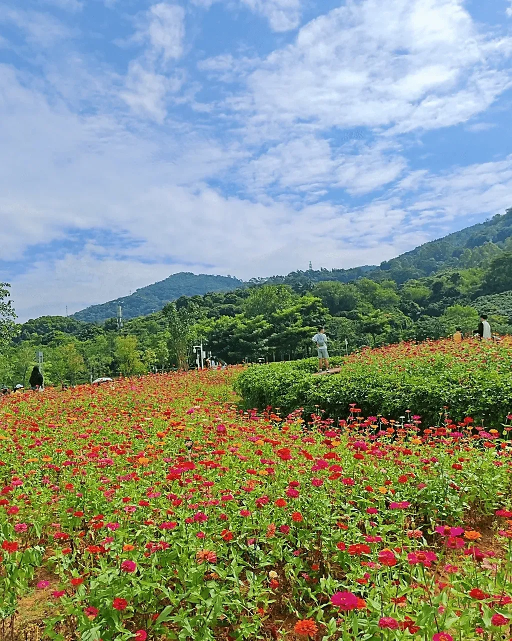 圖片來源：U Community