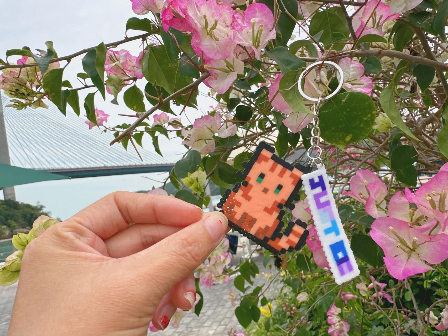圖片來源：官方網站、U Lifestyle