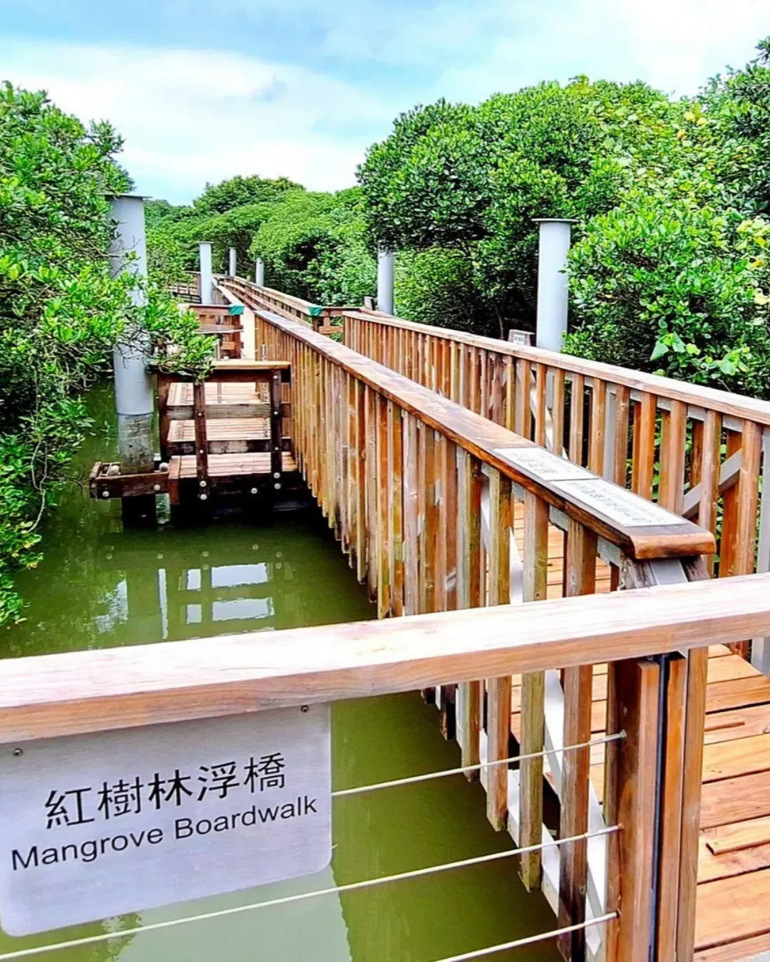 大埔紅樹林