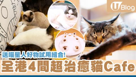 送喵星人好物試用組合！全港4間超治癒貓Cafe 吸貓必去！
