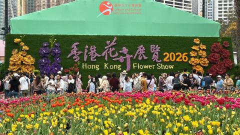 香港好去處 | 賞花 | 2026維園花展(4) | 鬱金香