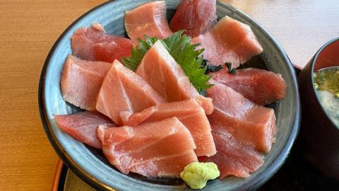 日本東京靜岡縣之旅 | 食在清水港 | 鮪魚丼與鰻魚飯