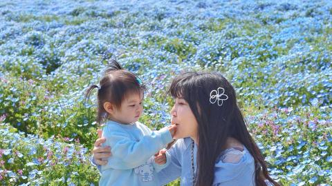 🦋福岡x海之中道海濱公園花海攻略 💙
