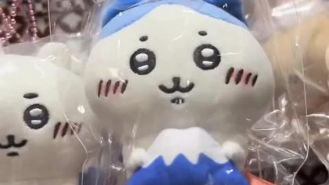 【VLOG】富士山必買 🩵 富士山限定 Chiikawa、Sanrio Characters、曲奇 …