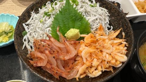 日本東京靜岡縣之旅 | 食在熱海 | ばんばん食堂 | 藍花