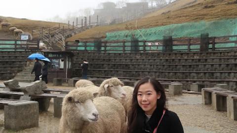 去台灣玩 Day3 (清境農場同綿羊玩遊戲,台中第二市場食早餐)