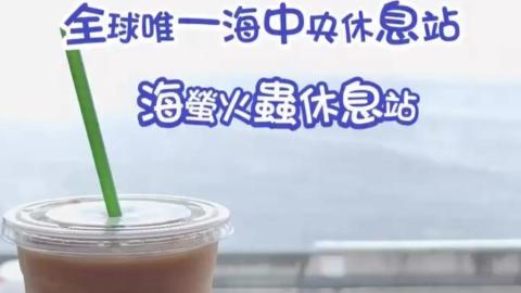 【VLOG】 東京近郊｜木更津 ♥ 全球唯一海中央休息站。 好吃好逛好買又打卡