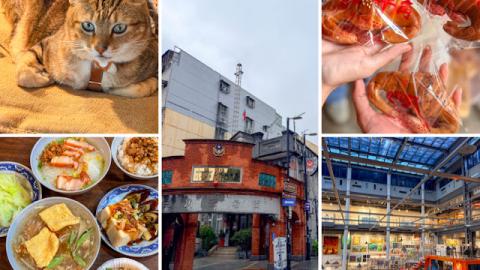 【新北】觀光+美食．鶯歌 + 三峽半日遊｜陶瓷老街散步、三峽老街吃金牛角和豬血糕