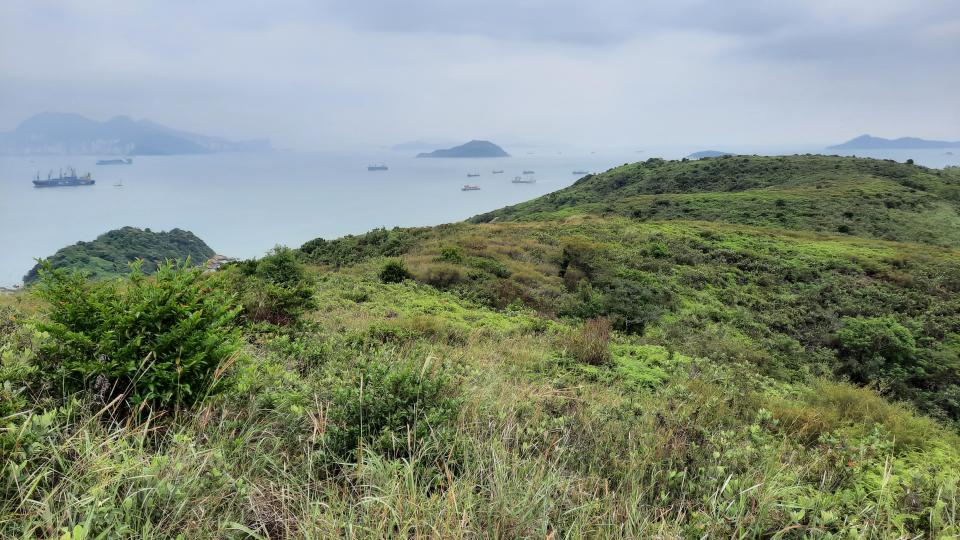 青馬收費站至迪士尼行山篇 汲水門大橋底 草灣 花瓶石 U Blog