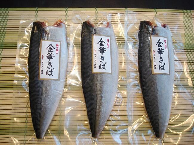 日本的名牌鯖魚 U Blog