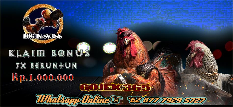 1642189356_login-sabung-ayam.jpg