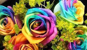 1649814155_rainbow-rose1.jfif