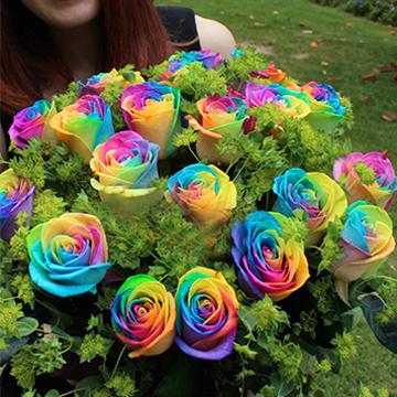 1649814165_rainbow-rose2.jpg