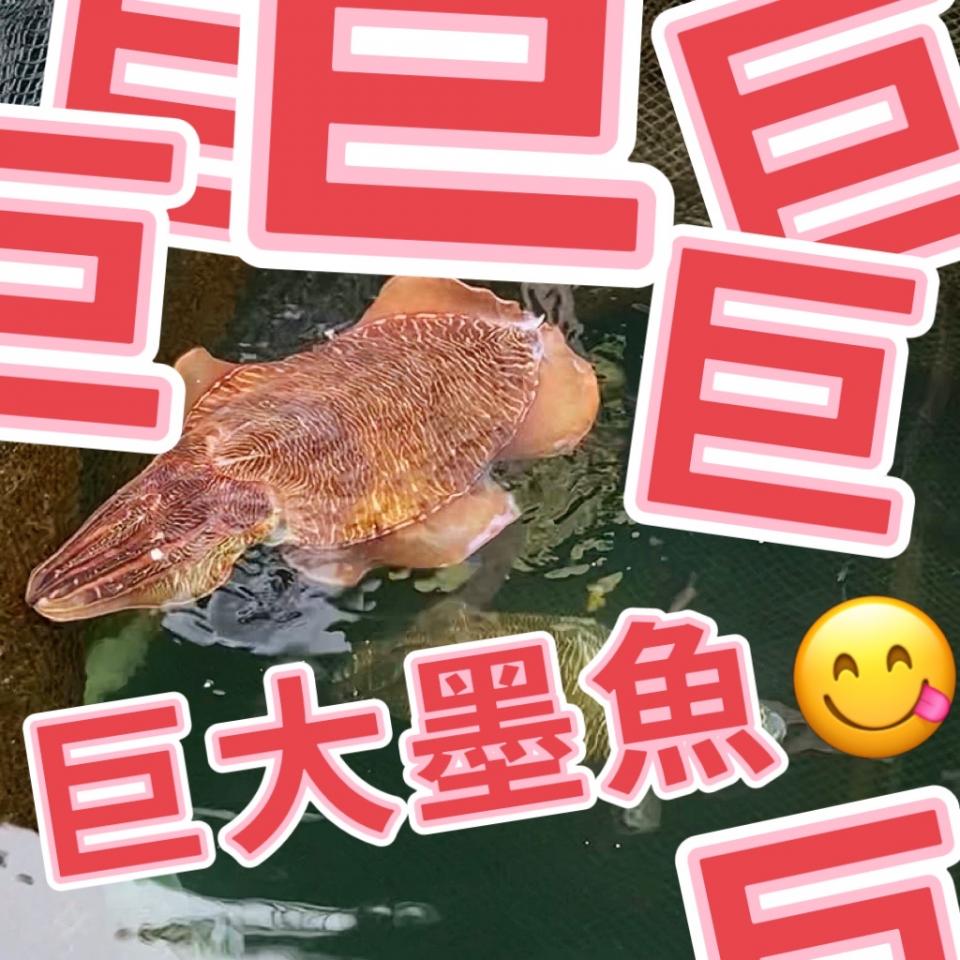 我在魚排CHILL 一天- U Blog