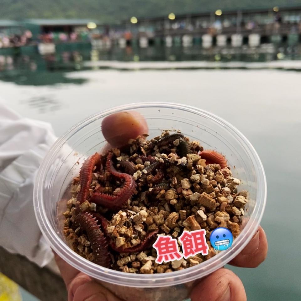 我在魚排CHILL 一天- U Blog