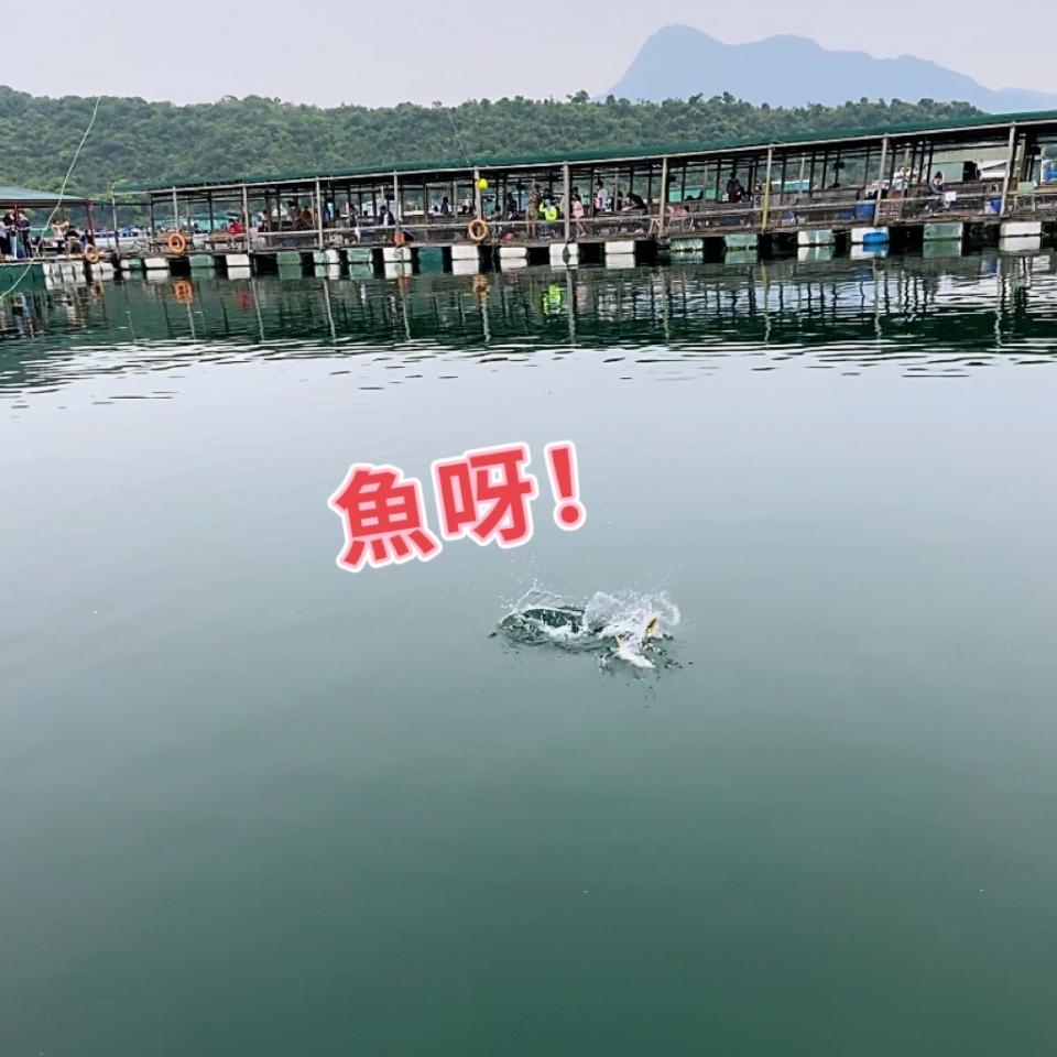 我在魚排CHILL 一天- U Blog